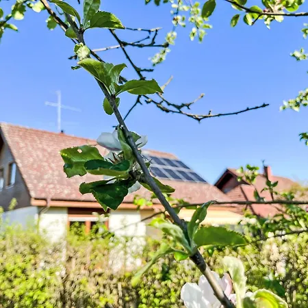 Land In Sicht By Interhome Appartamento